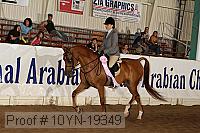 10yn-19349 thumbnail