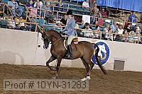 10yn-31283 thumbnail