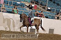 10yn-31412 thumbnail