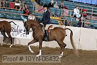 10yn-06432 thumbnail