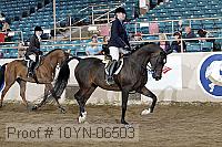 10yn-06503 thumbnail