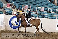 10yn-06534 thumbnail
