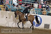 10yn-06591 thumbnail