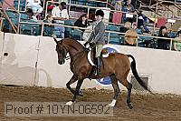 10yn-06592 thumbnail