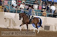 10yn-06593 thumbnail