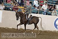 10yn-06594 thumbnail