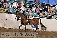 10yn-06595 thumbnail