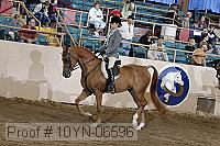 10yn-06596 thumbnail