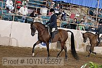 10yn-06597 thumbnail