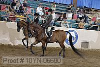 10yn-06600 thumbnail