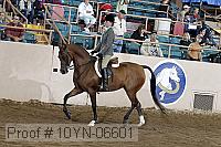 10yn-06601 thumbnail