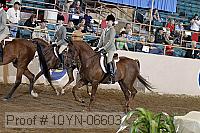 10yn-06603 thumbnail