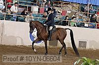 10yn-06604 thumbnail