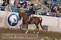 10yn-06605 thumbnail