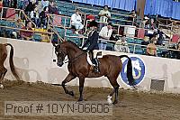 10yn-06606 thumbnail