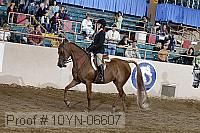 10yn-06607 thumbnail