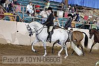 10yn-06608 thumbnail