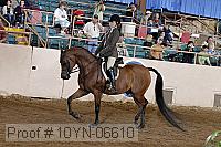 10yn-06610 thumbnail