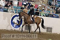10yn-06611 thumbnail