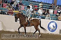 10yn-06612 thumbnail