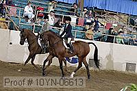 10yn-06613 thumbnail