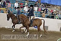 10yn-06614 thumbnail