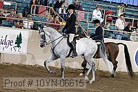 10yn-06615 thumbnail