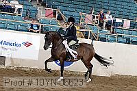 10yn-06623 thumbnail