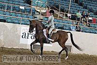 10yn-06632 thumbnail