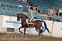 10yn-06633 thumbnail