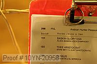 10yn-20958 thumbnail
