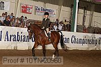 10yn-20960 thumbnail
