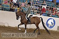 10yn-10057 thumbnail