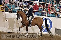 10yn-10059 thumbnail