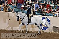 10yn-10063 thumbnail