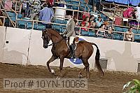 10yn-10066 thumbnail