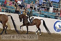 10yn-10071 thumbnail