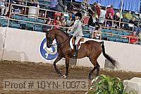 10yn-10073 thumbnail