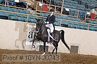 10yn-20243 thumbnail