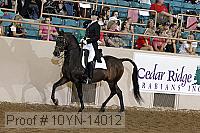10yn-14012 thumbnail