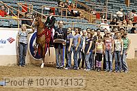 10yn-14132 thumbnail