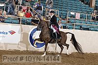 10yn-14144 thumbnail