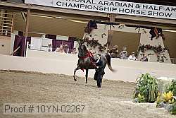 10yn-02267 thumbnail
