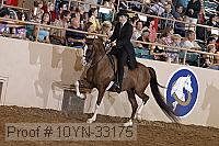 10yn-33175 thumbnail