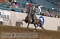 10yn-20902 thumbnail