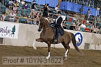 10yn-31822 thumbnail