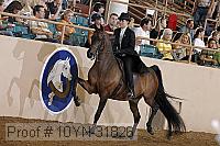 10yn-31826 thumbnail