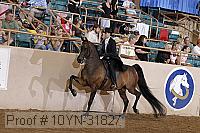 10yn-31827 thumbnail