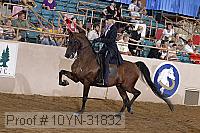 10yn-31832 thumbnail