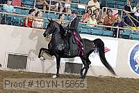 10yn-15855 thumbnail